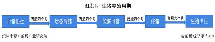 预见2023：《2023年中国生猪养殖行业全景图谱》(附市场规模、竞争格局和发展前景等)