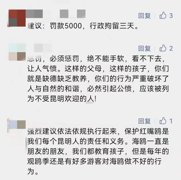 父母帮男孩抓海鸥强行塞进瓶子，处理结果来了：罚款两千！