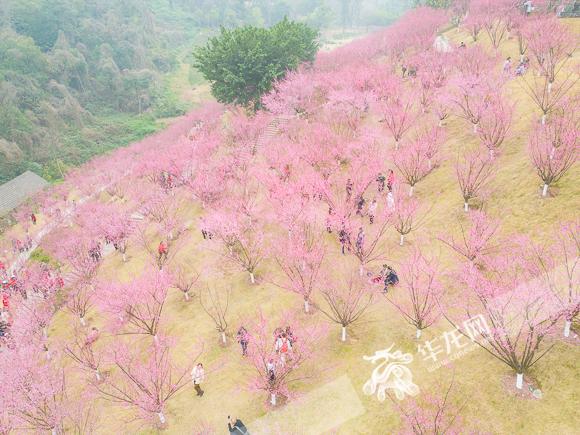 重庆暂别阳光阴雨即将上线 高海拔地区有降雪