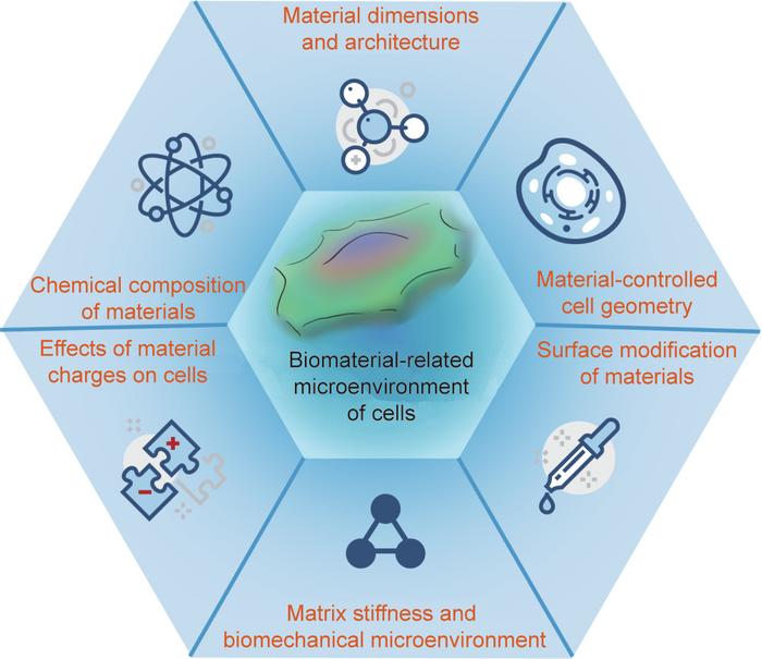 组织工程与再生医学中与生物材料相关的细胞微环境丨Engineering