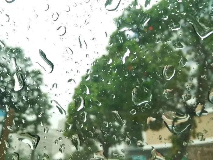 春雨贵如油！今年以来持续时间最长的一轮阴雨来袭