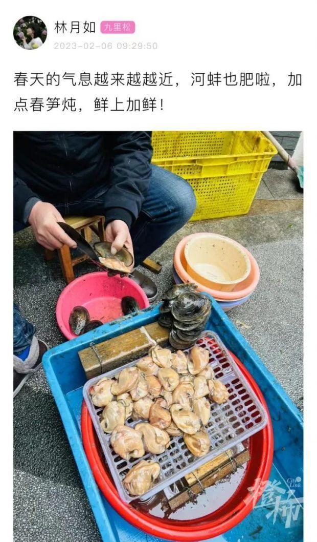 最近都是雨雨雨，何时能歇？这几天菜场里的“性价比之王”，竟是它