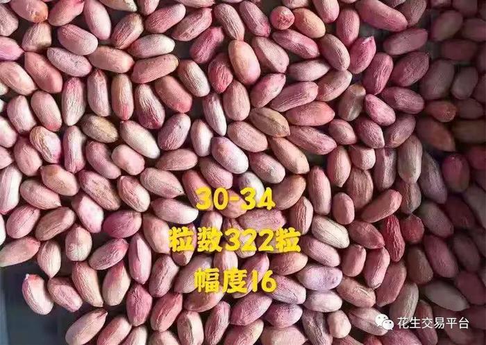 中国花生市场网为您推荐-【优秀供货商】开封天翔花生米加工厂