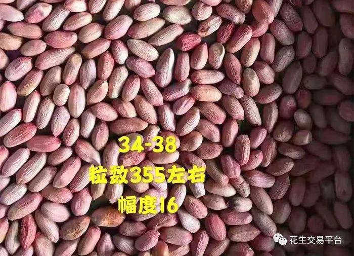 中国花生市场网为您推荐-【优秀供货商】开封天翔花生米加工厂