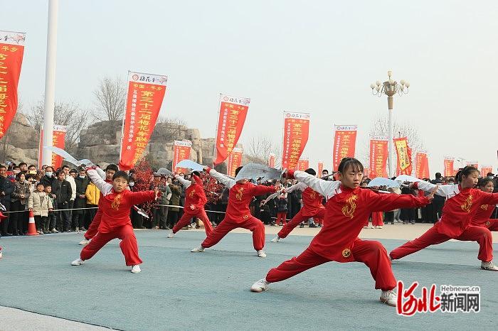 数万人同台亮拳献技！第32届中国梅花拳联谊会在邢台平乡举行