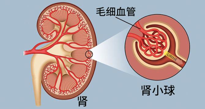 死亡率比肝癌还高的疾病，两类人特别要注意