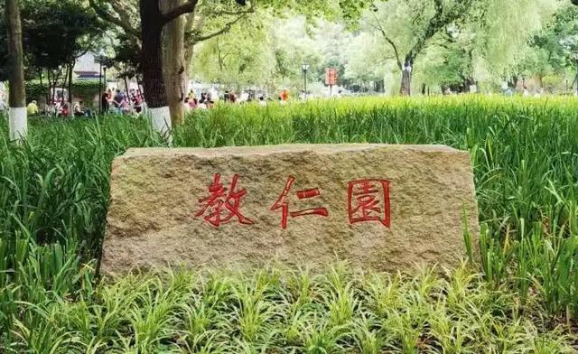 静安古树阅览室第四篇：六个树种汇聚一园，闸北公园有个“古树大家庭”