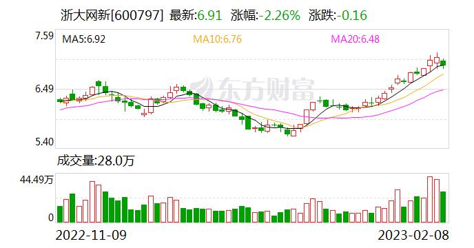 浙大网新：网新集团累计质押股份数为8265万股