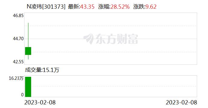 创业板新股N凌玮首日收盘涨28.52%