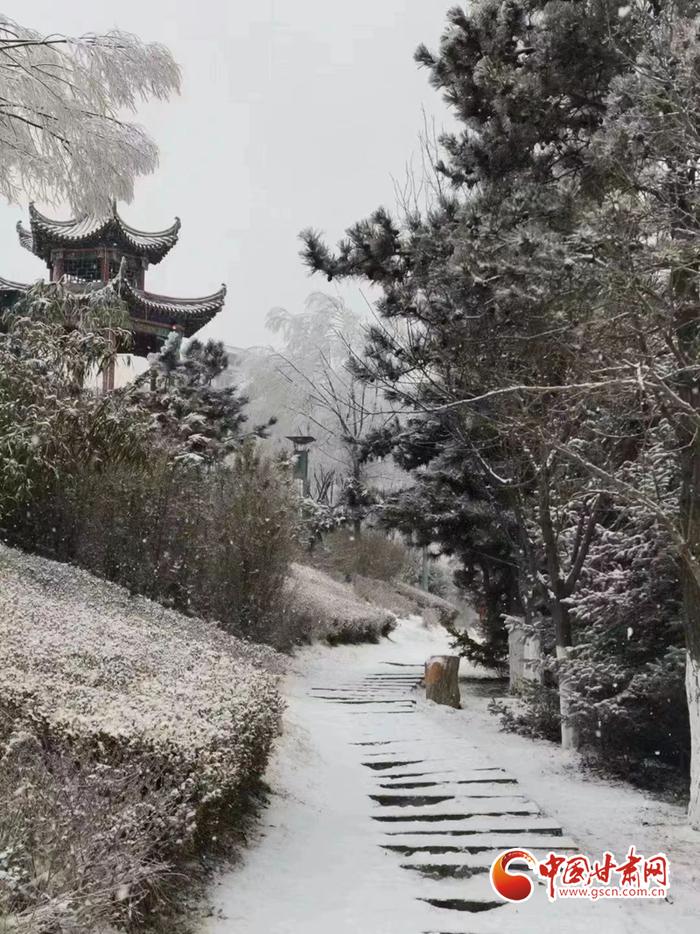 【陇拍客】平凉华亭：春日飞花落万家 一城白雪兆丰年