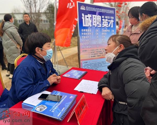 洛阳洛龙区举办招聘会 15369个岗位等您来选