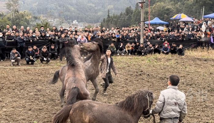 高清组图丨广西融水香粉古龙坡会吸引数万游客前来打卡游玩