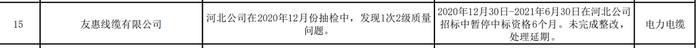 发生2级质量问题未整改，友惠线缆有限公司被国网河北继续暂停中标资格