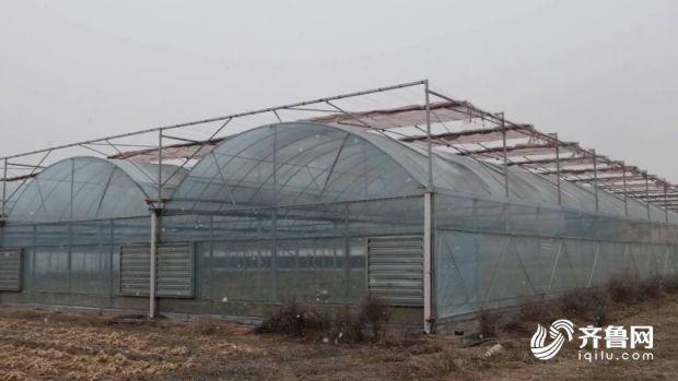 山东未来三天多阴天雨雪天气 省气候中心：设施农业要改善透光条件 通风排湿