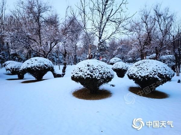 雪纷飞！北方大范围雨雪铺开 甘肃宁夏陕西等多地现大到暴雪