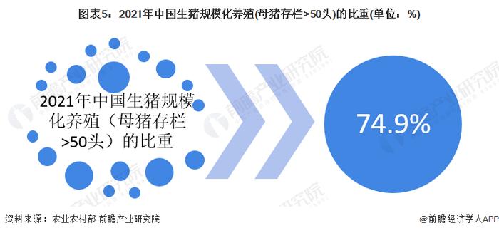 2023年中国生猪养殖行业市场供需现状分析 中国生猪生产形势逐步好转【组图】