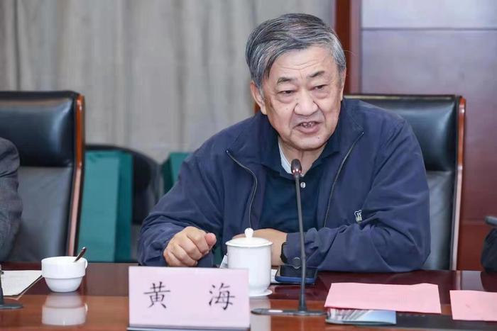 专访商务部原部长助理黄海：促消费政策显效带出节日市场“开门红”，推动消费长期稳定增长仍需在提高居民收入上下功夫