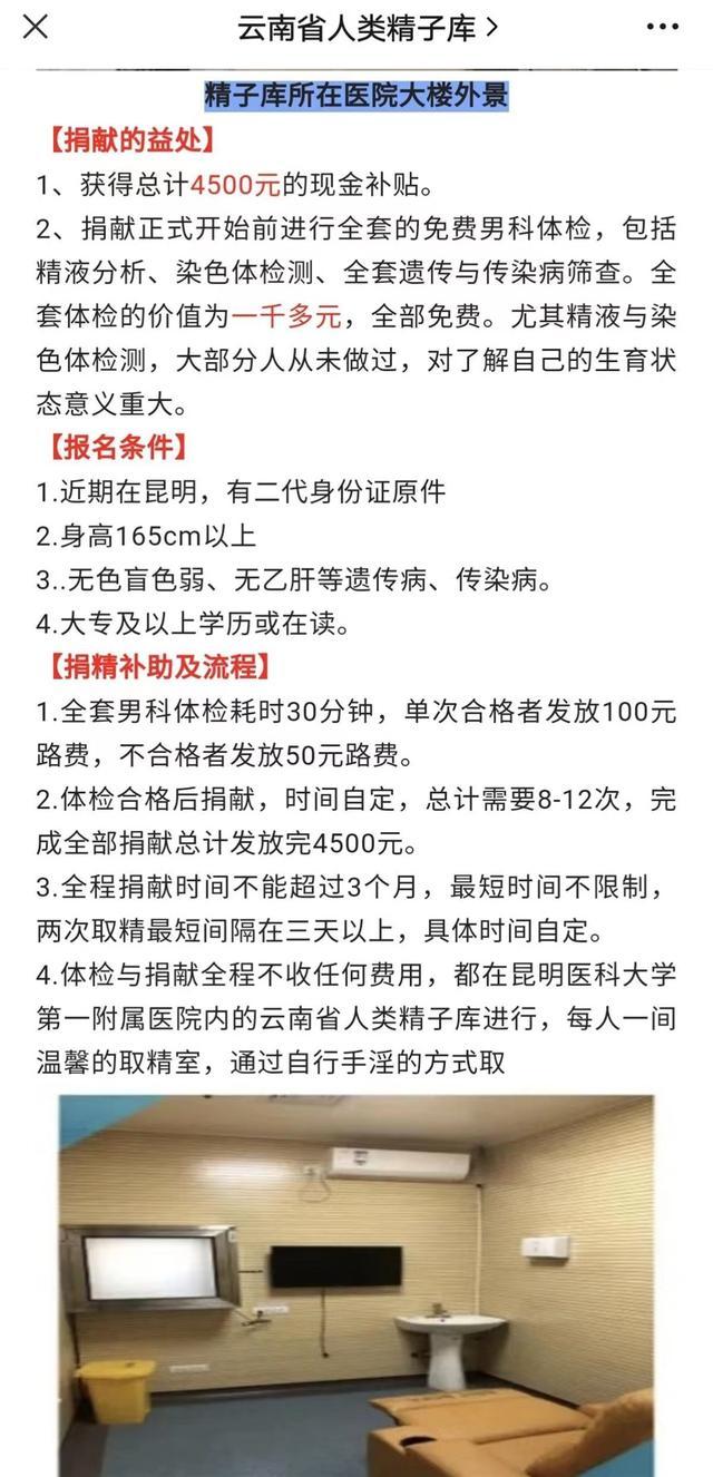 上海捐精志愿者讲述亲历：取精室没有很色情，半年内捐8-10次，1毫升获50元补贴