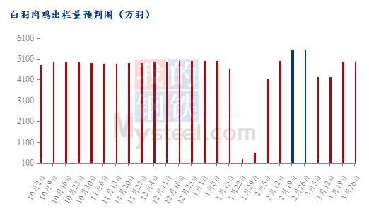 Mysteel解读：毛鸡转折节点临近 简单窥探后市走势