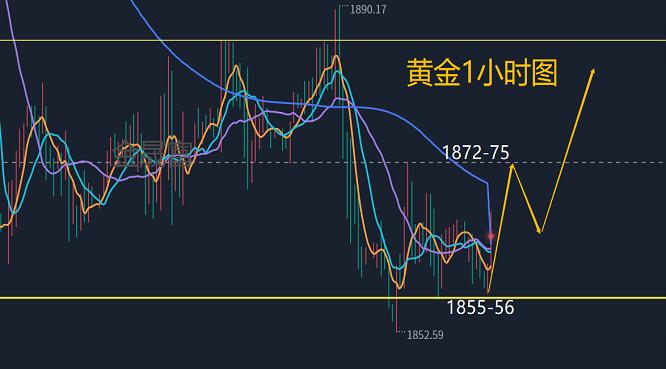 2.13黄金今日涨跌怎么看？黄金分析及策略