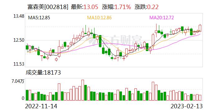 富森美：海南进出口目标是利用海南地区政策便利，进一步拓展进出口业务，目前主要以代理和咨询服务为主