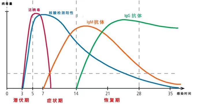 新冠抗体检测是什么？有必要做吗？最新答疑来了