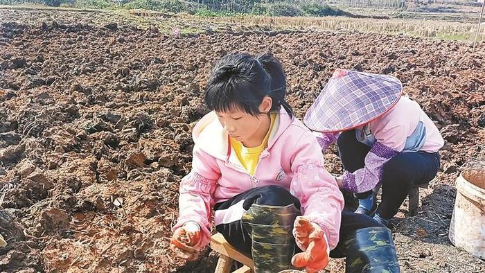 二年级娃学烹饪、三年级娃下农田、六年级娃当义工……深圳小学生“花样劳动作业”真飒！