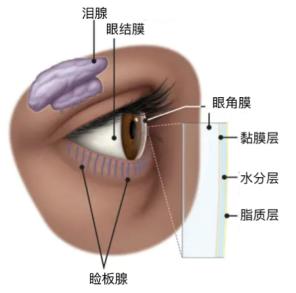 年轻人得上这“绝症”，怎么都懒得治？