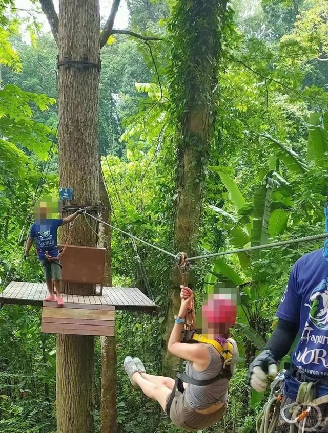 中国游客泰国普吉体验丛林飞跃被马蜂袭击受伤遭遇维权难