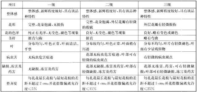 情人节送花时，我们在送些什么？