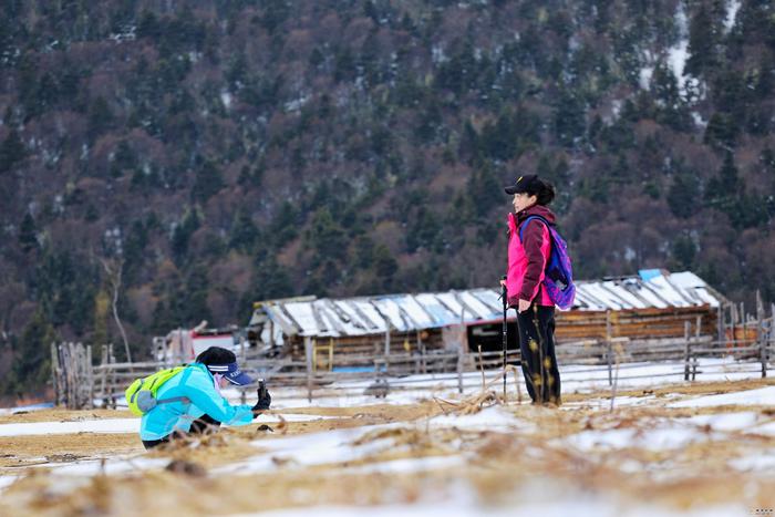 香格里拉雪山徒步带你感受冰雪魅力