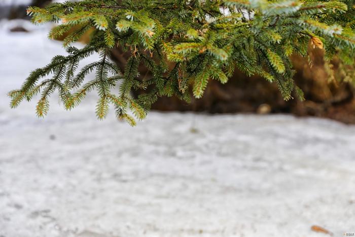 香格里拉雪山徒步带你感受冰雪魅力