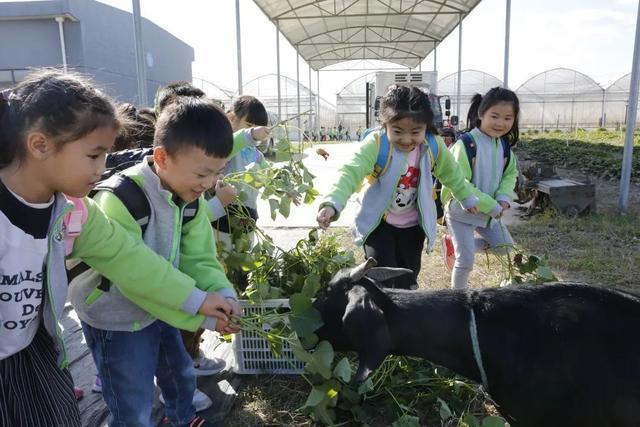 嘉定区新晋示范性幼儿园、一级幼儿园出炉，一起来认识下！