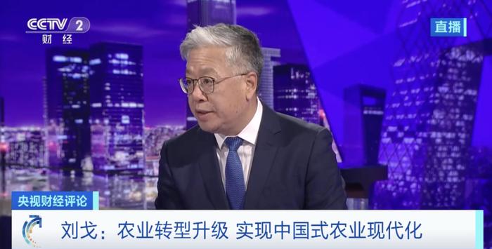 中央一号文件里的信心密码