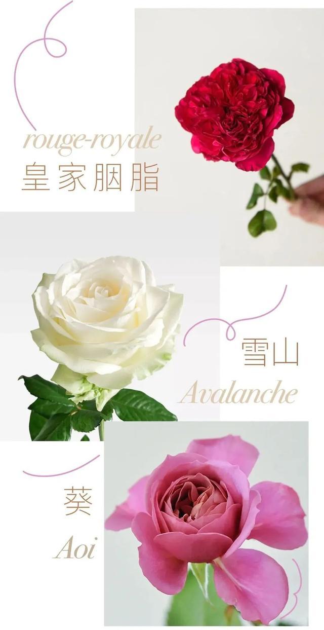 情人节送花时，我们在送些什么？