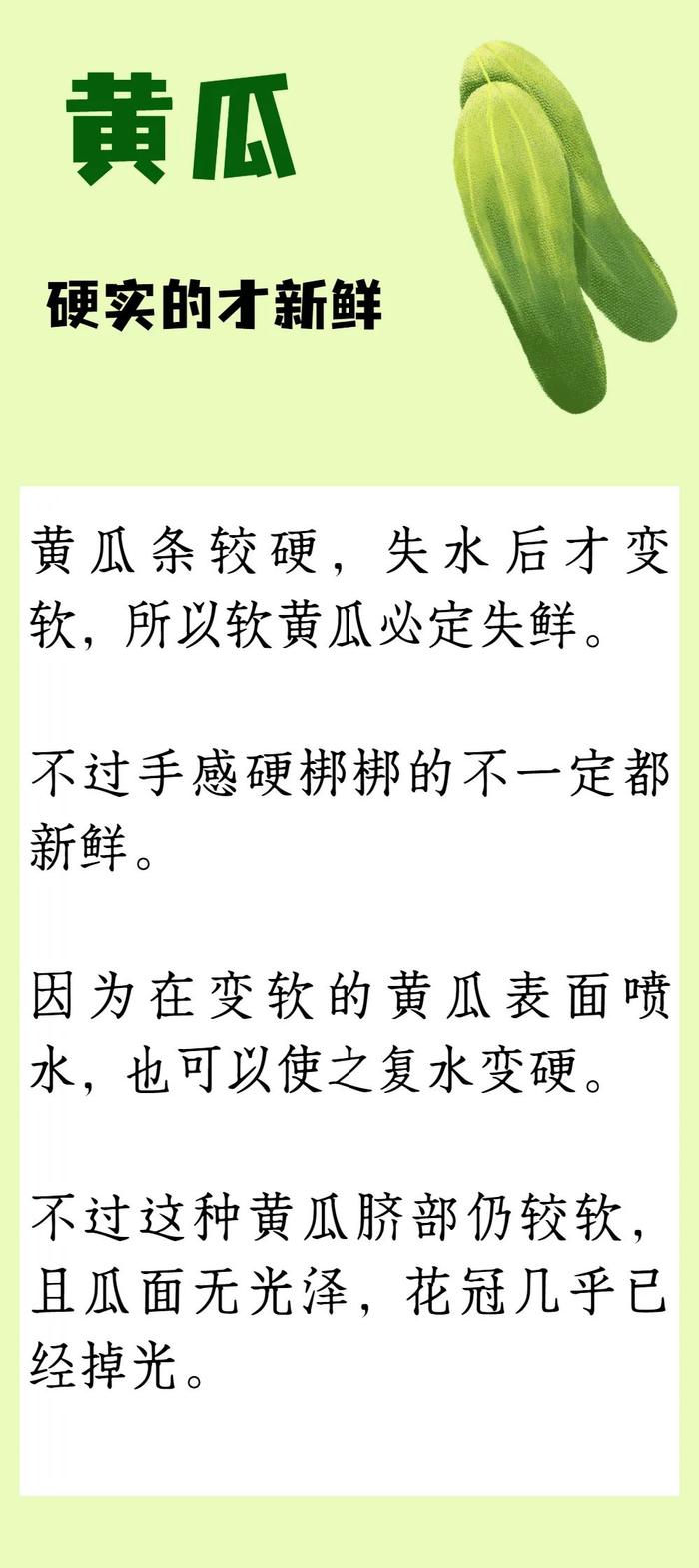 新鲜的蔬菜更健康！这几个挑菜技巧，帮你买到优质菜→