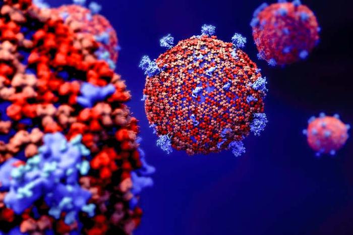利用已公开的数百万个基因组序列，新冠病毒进化研究有了新视角|国际战“疫”行动