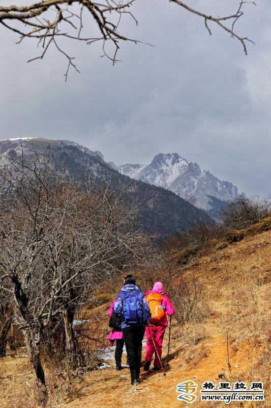 香格里拉雪山徒步带你感受冰雪魅力