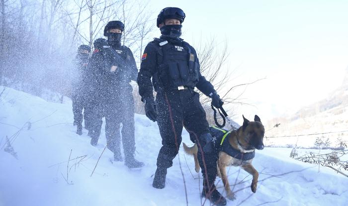 来自边境检查站的警犬“汪汪队”