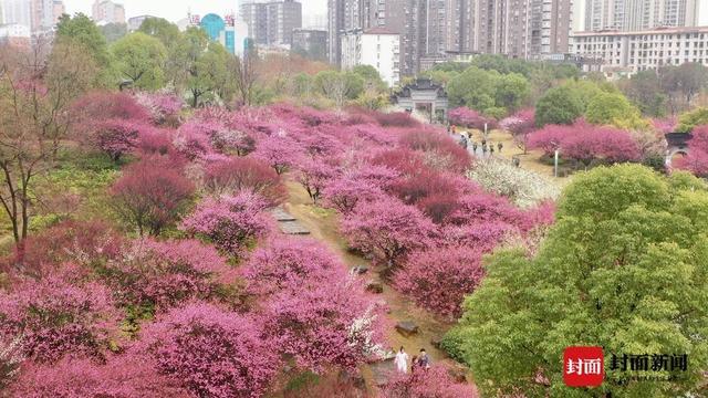 “玩家”苏东坡：“二赋一词”诞于山水之间｜寻路东坡