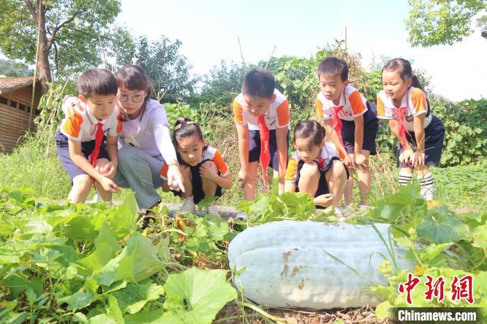 保障小学生10小时睡眠！这所学校规定晚上超过9点停止做作业