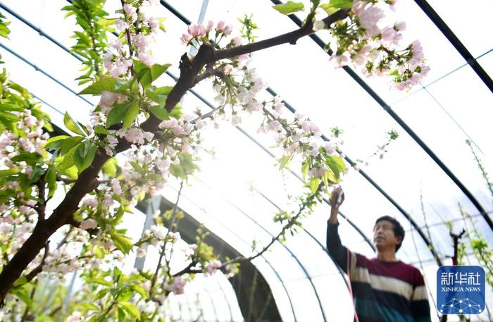 春耕图_新闻频道_央视网(cctv.com)