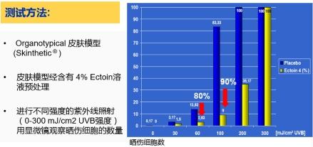 肌肤微环境——看肌肤屏障“守护王者”依克多因如何建立