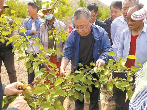 全国绿化先进工作者 | 在生态建设中实现人生价值——记全国绿化先进工作者谢国勋