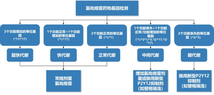 个体化用药！华大基因心血管疾病药物基因检测产品正式发布