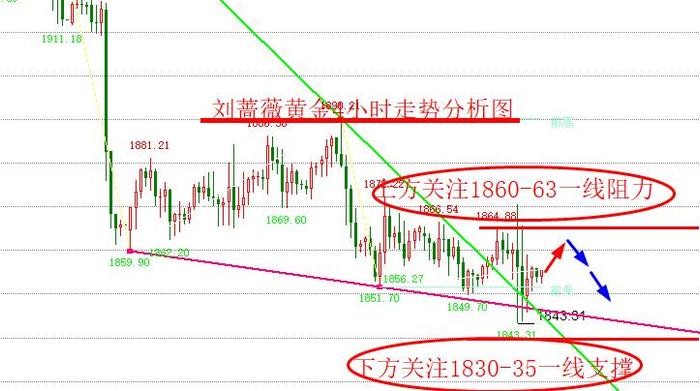 刘蔷薇：2.16黄金阴跌空头逼近千八及原油走势分析