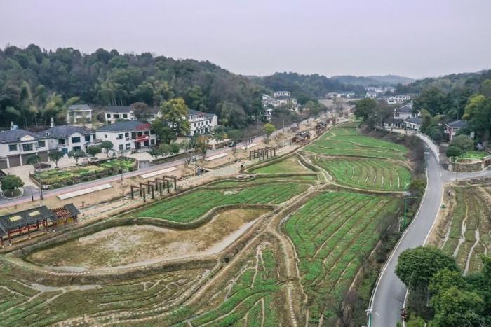 三湘大地早春图_中安在线