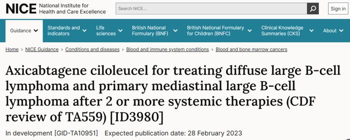 CAR-T 重大利好！英国国家健康与临床优化研究所 (NICE) 批准 NHS 常规使用 CAR-T 治疗弥漫性大B细胞淋巴瘤