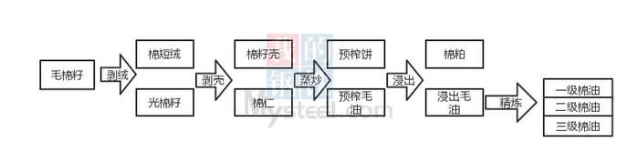 Mysteel：浅谈棉粕基础知识应用概况