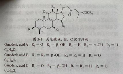 如何辨别灵芝孢子粉胶囊真伪？